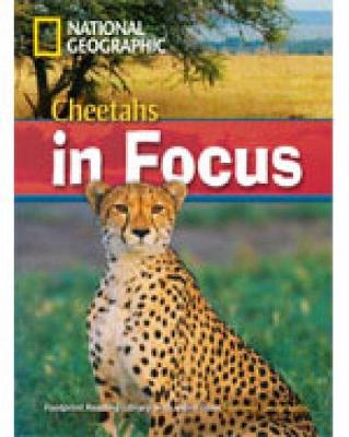 Cheetahs In Focus (Book With Multi-Rom): Footprint Reading Library 2200