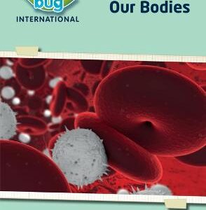 Science Bug: Our Bodies Workbook