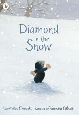 Diamond In The Snow