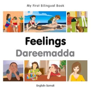 My First Bilingual Book -  Feelings (English-Somali)