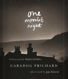 One Moonlit Night
