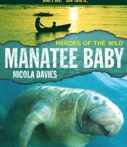 Manatee Baby