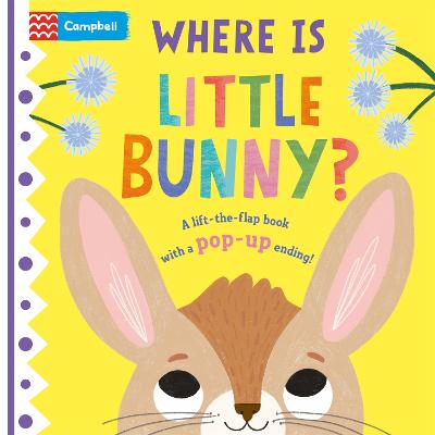 Where Is Little Bunny?: The Lift-The-Flap Book With A Pop-Up Ending!