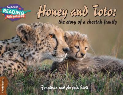 Cambridge Reading Adventures Honey And Toto: The Story Of A Cheetah Family 1 Pathfinders