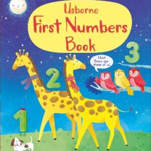 First Numbers Book