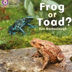 Frog Or Toad?: Band 03/Yellow (Collins Big Cat Phonics)