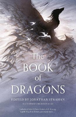 The Book Of Dragons