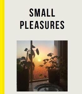 Small Pleasures: What Makes Life Truly Valuable