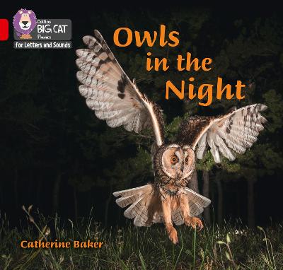 Collins Big Cat Phonics For Letters And Sounds - Owls In The Night: Band 02B/Red B