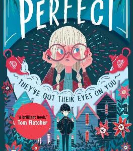 A Place Called Perfect