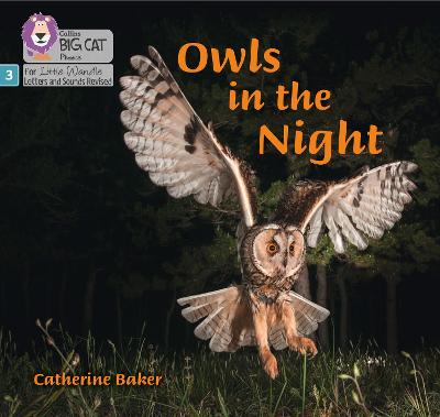 Owls In The Night: Phase 3 Set 2 (Big Cat Phonics For Little Wandle Letters And Sounds Revised)