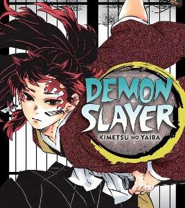 Demon Slayer: Kimetsu No Yaiba, Vol. 20: Volume 20