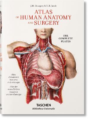 Bourgery. Atlas Of Human Anatomy And Surgery