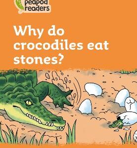 Why Do Crocodiles Eat Stones?: Level 4 (Collins Peapod Readers)