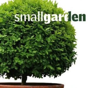Small Garden
