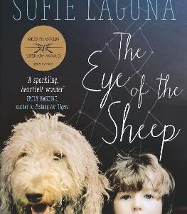 The Eye Of The Sheep