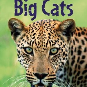 Discovery Big Cats