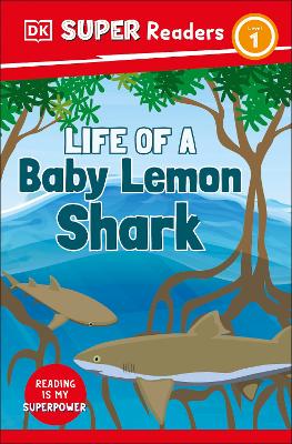 Dk Super Readers Level 1 Life Of A Baby Lemon Shark
