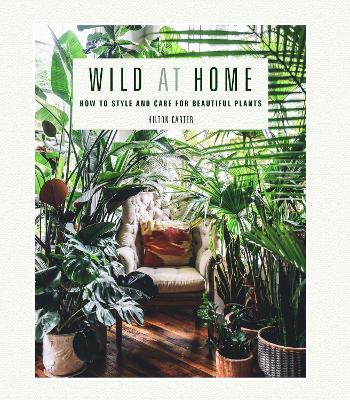 Wild At Home: How To Style And Care For Beautiful Plants