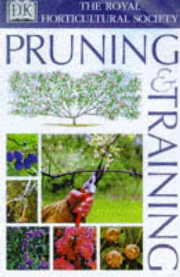 Rhs Pruning And Training