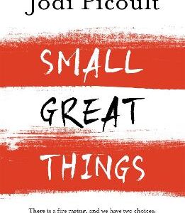 Small Great Things: The Bestselling Novel You Won't Want To Miss