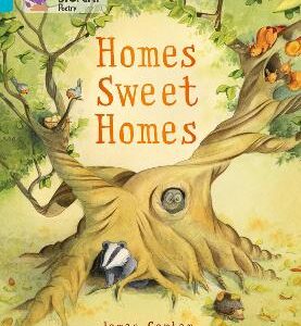 BIG CAT HOMES SWEET HOMES