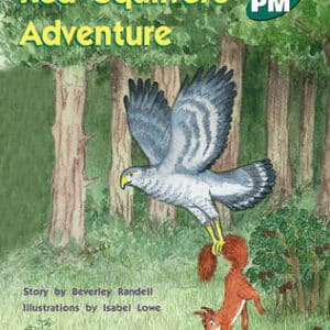 Red Squirrel's Adventure