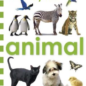 Animal