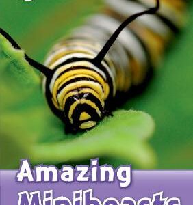 Oxford Read And Discover: Level 4: Amazing Minibeasts: We Have Recently Checked All Of Our Graded Readers Against The Latest Cefr Standards To Give Each Book An Accurate Language Level Description For Learners. After This Process, This Title's Level Has Changed To Better Reflect The Language Level In The Book. The Printed Cover Of This Title May Not Yet Show This Level Change