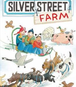 Frozen Solid At Silver Street Farm