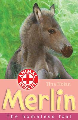 Merlin: The Homeless Foal