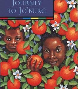 Journey To Jo'burg (Collins Modern Classics)