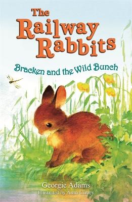 Railway Rabbits: Bracken And The Wild Bunch: Book 11