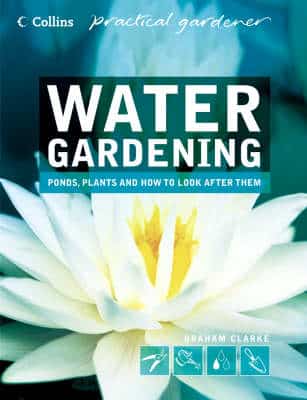 Water Gardening: Ponds, Plants And How To Look After Them