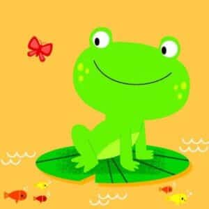 Bath Buddies: Frog