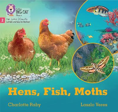 Hens, Fish, Moths: Phase 2 Set 5 Blending Practice (Big Cat Phonics For Little Wandle Letters And Sounds Revised)