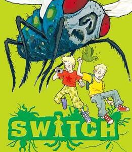 Switch 2 Fly Frenzy