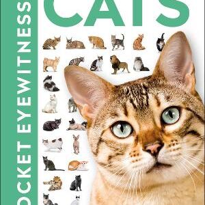 Cats: Facts At Your Fingertips