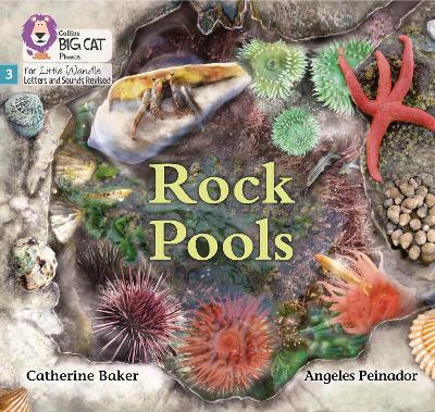 Rock Pools: Phase 3 Set 1 (Big Cat Phonics For Little Wandle Letters And Sounds Revised)