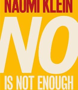 No Is Not Enough: Defeating The New Shock Politics