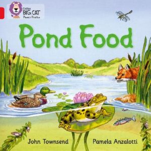 BIG CAT PHONICS POND FOOD RED 2B