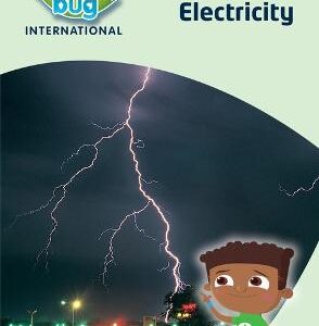 SCIENCE BUG ELECTRICITY TOPIC BOOK