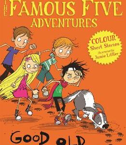 Famous Five Colour Short Stories: Good Old Timmy