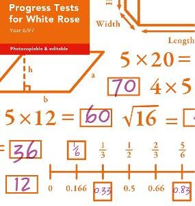 Year 6/P7 Maths Progress Tests For White Rose (Collins Tests & Assessment)