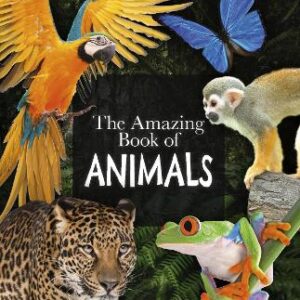 The Amazing Book Of Animals