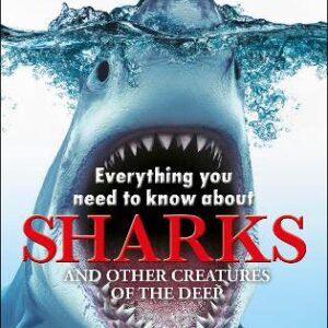 Everything You Need To Know About Sharks