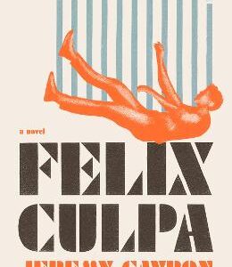 Felix Culpa