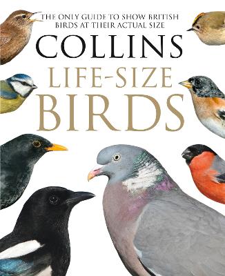 Collins Life-Size Birds: The Only Guide To Show British Birds At Their Actual Size