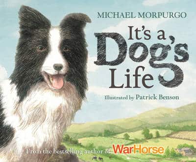 It's A Dog's Life