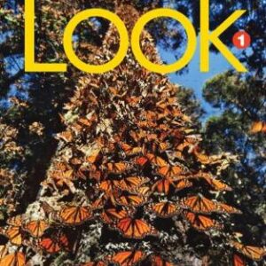 Look 1 (British English)